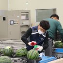 부여사랑마트 이미지