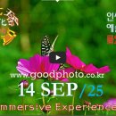 [0914'25] O Immersive Experiences 몰입형 경험 이미지