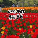 대전 유성구 튤립, '유림공원' 갑천대교 꽃구경 및 주차 튤립 실시간