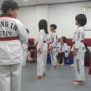 효자 태권도체육관 이미지