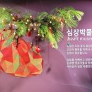 심장박물관 이미지