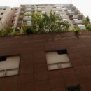 다우로얄팰리스 이미지