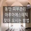아루아 에스테틱