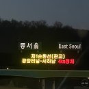 퇴근길 | 데이식스 KSPO 올림픽체조경기장 2025년 클콘 퇴근길 후기