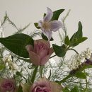 다이소 칠곡2지구 이미지