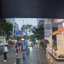 따뜻한뿌리양조장 봉화 여우숲 산딸기 막걸리 후기