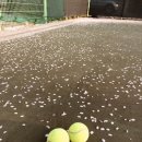 경산생활체육공원 이미지