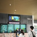 카 베스트 | 여수여행 갈만한곳 베스트 ' 케이블카' 내돈내산후기