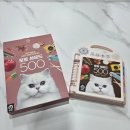 싸운드스토리 | 돌아기 선물 추천템 두두스토리 올인원 사운드 북 '포토 사운드 500' 아기 장난감 내돈내산 후기