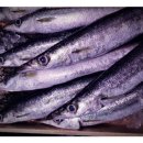 제일생선 이미지