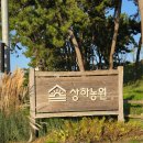 쌍둥이딸기농원 | 아이와 전라도 가볼만한곳 | 상하농원 체험형 테마파크 후기