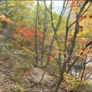 진고개목장 이미지