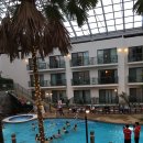 웨스턴라이트(Western Light) 이미지