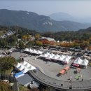 은행나무숲 주차장 부근 이미지