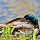 잘되는집 이미지