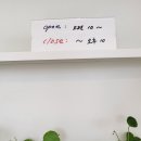 그리고(GRIGO)갤러리 이미지