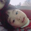 무료영화상영(이웃집 토토로) 이미지