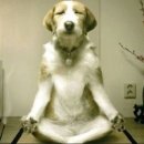 무념무상 이미지