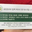 귤림청과