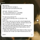 다원하개 | 춘천 애견미용 다원하개 후기 둥이랑 다녀온 귀염뽀짝 대변신 스토리!
