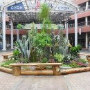 라페스타 문화의 거리 이미지