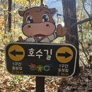 횡성 호수길 4구간 이미지