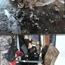 해오름아파트 앞 사거리 이미지