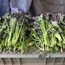 창평전통시장 이미지