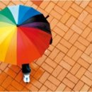 [曲線美感 .2부] (7) 봄비, 그리고 우산 이미지