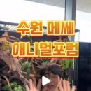 하이애니멀샵