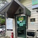 파인트리 | 경기 포천 : 서울 근교 글램핑 추천 파인트리 글램핑 내돈내산 다녀 온 후기 (feat. 백운계곡)