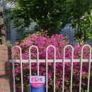 용우동(염창점) 이미지