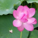 용정마을회관 이미지