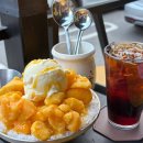 행복나무 | [카페]수원 구운동 일월저수지 일월수목원 공원 근처 빙수맛집 내돈내산 추천 | 행복나무