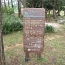 제봉산 마법의 숲체험원 이미지