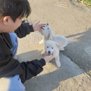 법인행복팜