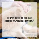 가야부동산중개 이미지