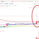 돌고래홀딩스 이미지