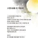 고향의 여름 이미지