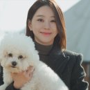 (주)시네마뉴원