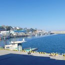 읍천항 화장실 이미지