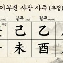 풍수지리(양택 / 주택) | [풍수 칼럼] 이부진 사장이 타워팰리스 대신 '저층 빌라'를 택한 이유: 삼성동 명당의 비밀