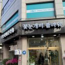 꽃눈개비플라워