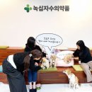 녹십자 동물병원 이미지