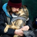 멍이사랑 이미지