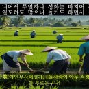 경허스님이 &#34;콧구멍이 없다는 소&#34;의 말을 듣고 문득 진리를 깨달아서 지은 오도송의 해석을 보겠습니다. 이미지