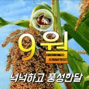 9 월 3 월요일 서울방 출석부 이미지