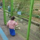 흰수염고래리조트 이미지