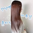 올케어 강남 | 강남역 미용실 클리닉 방문기 – 고아라헤어케어 강남점 리얼 후기