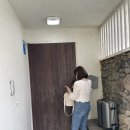 제주애아리 이미지